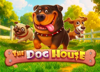 roll88 The Dog House ทดลองเล่นฟรี